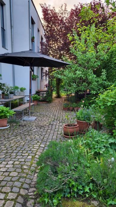 Gute Lage, 3 Raeder, Gruen, Familien Apartamento Trier Exterior foto