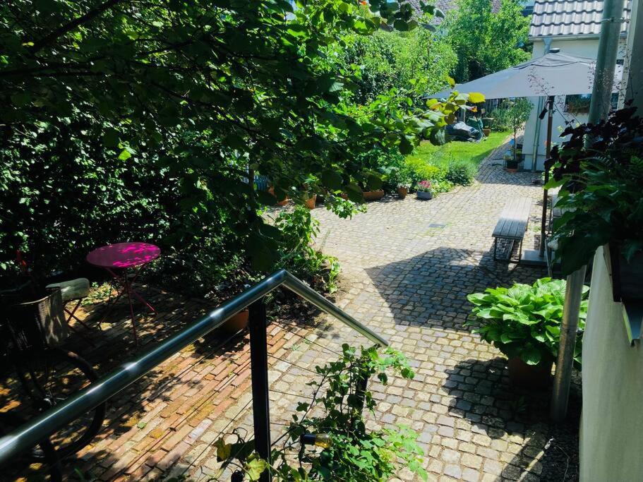 Gute Lage, 3 Raeder, Gruen, Familien Apartamento Trier Exterior foto