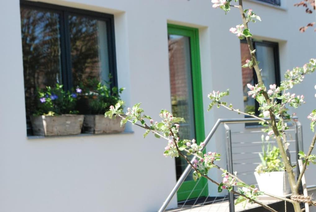 Gute Lage, 3 Raeder, Gruen, Familien Apartamento Trier Exterior foto