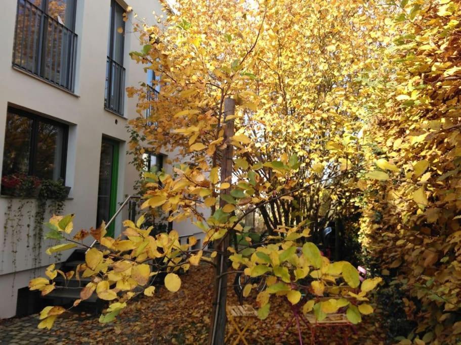 Gute Lage, 3 Raeder, Gruen, Familien Apartamento Trier Exterior foto
